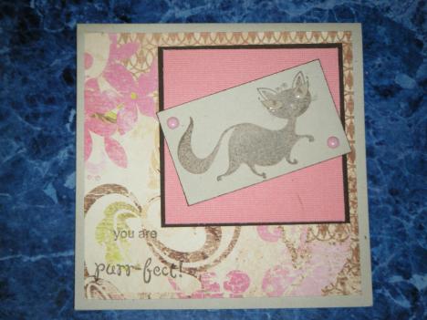 Cat card done with Laurie's sketch
